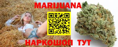 гашик Будённовск
