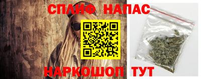 гашик Будённовск