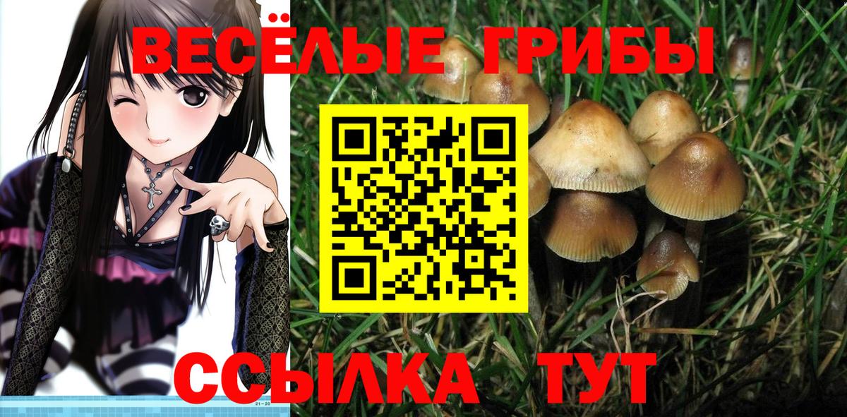 Псилоцибиновые грибы Magic Shrooms  Вход с VPN  Тында  Галлюциногенные грибы Magic Shrooms 